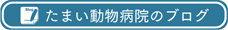 たまい動物病院のブログ