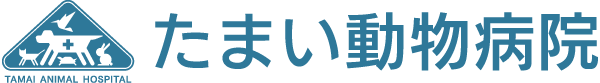 たまい動物病院